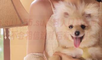 155.su黑料入口最新更新，你不会相信这背后有什么！