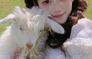 不止美味，还有“人人吃瓜网”独家线路，吃瓜停不下来，吃空虚的季节就该这样过！