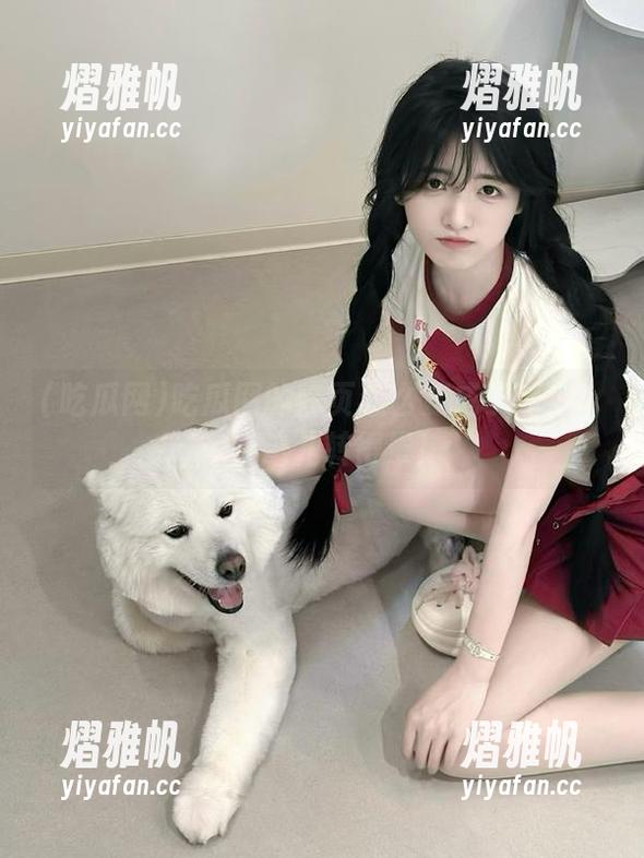 吃瓜网的首页怎么变成了迷宫？我在这儿转得晕！