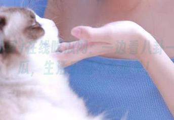 在线吃瓜网：一边看八卦一边吃瓜，生活乐趣不再孤单！