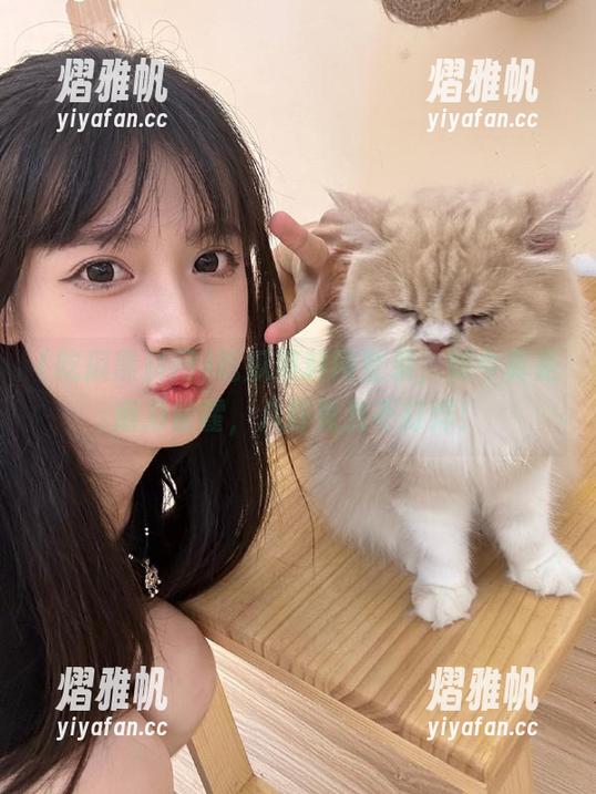 吃瓜黑料网登录，如今真是磨刀霍霍，八卦竟然不打烊！