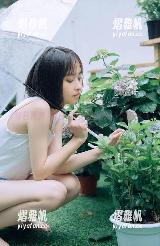 每日黑料网页：今天的八卦让人欲罢不能！