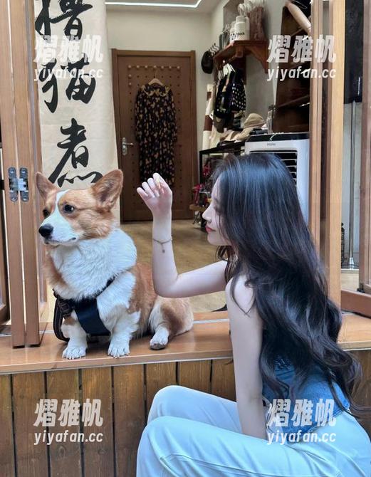 黑料吃料网 你准备好在“黑料吃料网站”来一场惊心动魄的故事探险了吗?