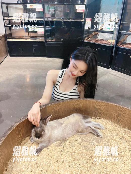 登录fu黑料正能量地址，竟然发现八卦到手软，这真是个宝藏！